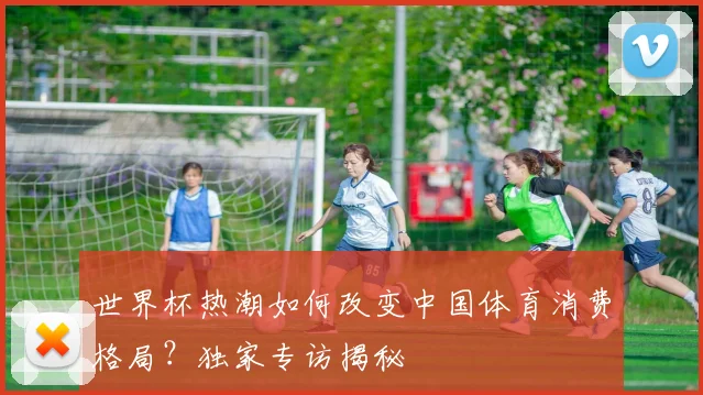 世界杯热潮如何改变中国体育消费格局?独家专访揭秘
