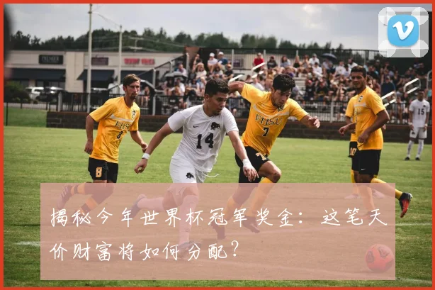 揭秘今年世界杯冠军奖金:这笔天价财富将如何分配?