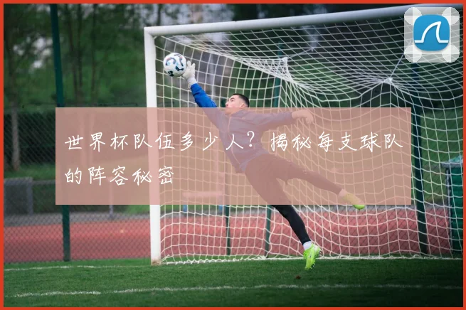 世界杯队伍多少人?揭秘每支球队的阵容秘密