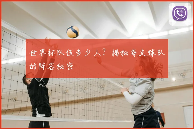 世界杯队伍多少人?揭秘每支球队的阵容秘密
