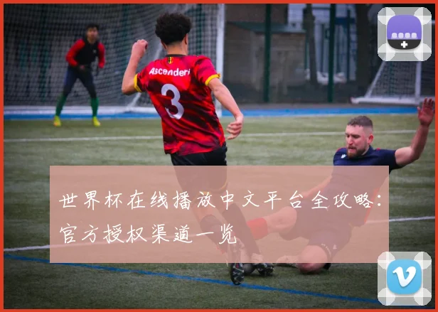 世界杯在线播放中文平台全攻略:官方授权渠道一览