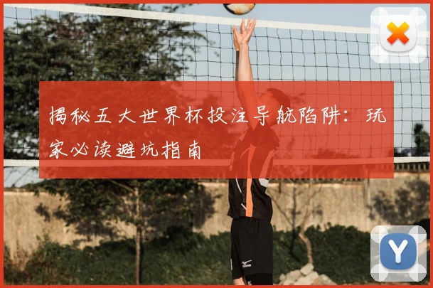 揭秘五大世界杯投注导航陷阱:玩家必读避坑指南