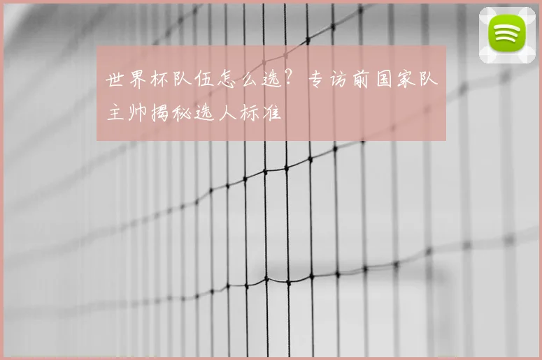 世界杯队伍怎么选?专访前国家队主帅揭秘选人标准