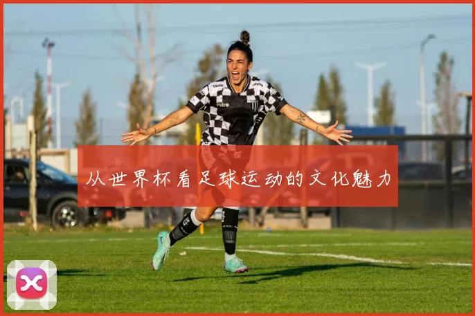 从世界杯看足球运动的文化魅力