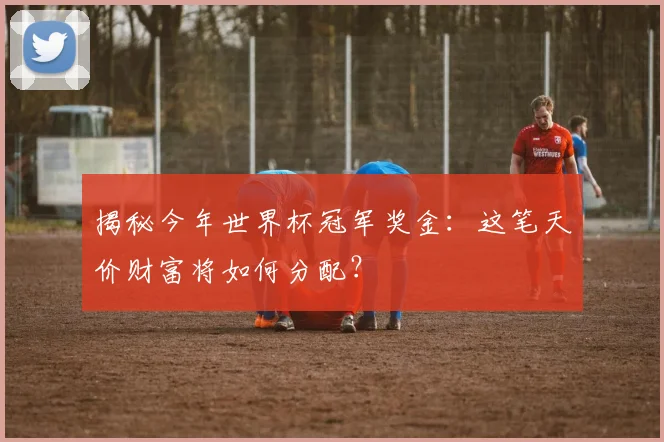 揭秘今年世界杯冠军奖金:这笔天价财富将如何分配?