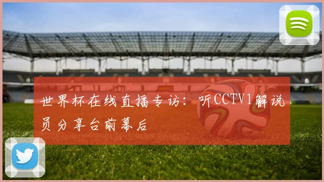 世界杯在线直播专访:听CCTV1解说员分享台前幕后