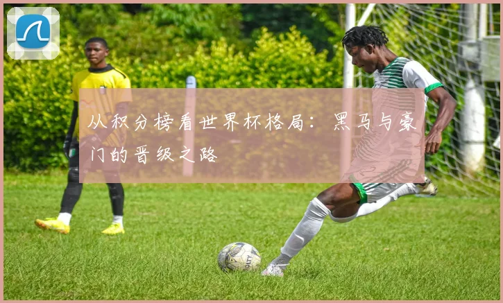 从积分榜看世界杯格局：黑马与豪门的晋级之路